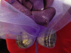 iphone_upload_pic-上海宾馆