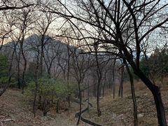 -北京鹫峰国家森林公园