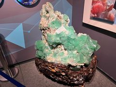 -湖南省地质博物馆