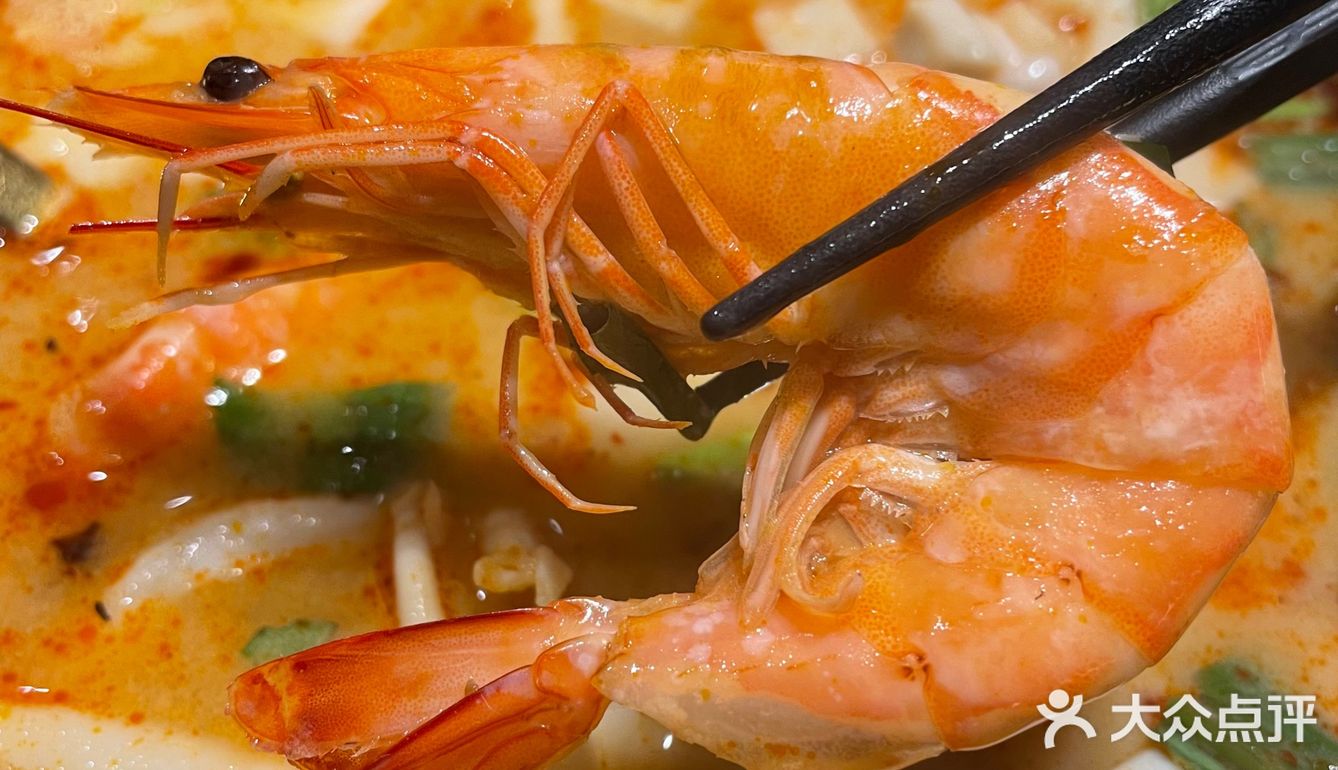 网红小熊奶茶太可爱了