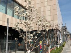 -国药中服免税(北京坊店)
