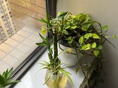 -悦耐私教健身馆(保利中心店)
