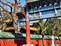 -北京国子监胡同