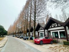 -太阳岛度假酒店