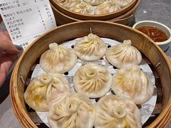 -莱莱小笼·乔艾