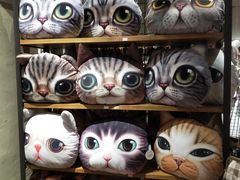 -猫咪博物馆(顶澳仔猫街店)