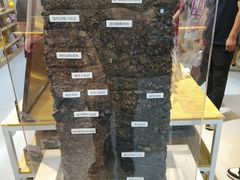 -南越王博物院(王宫展区)