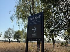 -汉长安城未央宫国家考古遗址公园