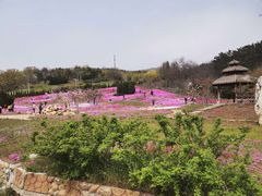 -棒棰岛宾馆景区