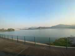 -立新湖公园