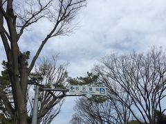-名古屋城