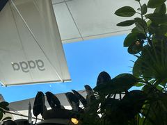 -gaga(深圳南山益田假日广场店)
