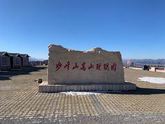 -阳台山自然风景区