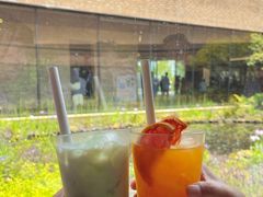-雪绿茶博物馆