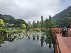 -广州市石门国家森林公园