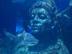 -暹罗海洋世界