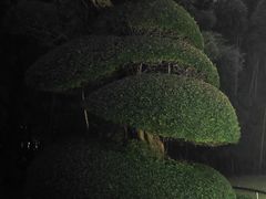 -苏州河梦清园环保主题公园