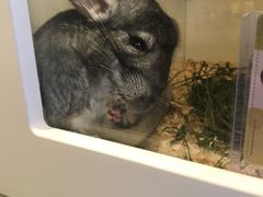 -龙猫仔乐园(惠福东路店)