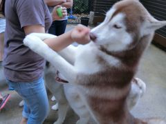 -TrueLove @ Neverland (Husky Cafe)