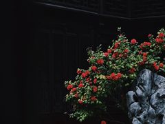 -耦园
