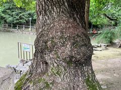 -汇龙潭