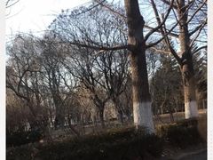 -辽东学院(南校区)