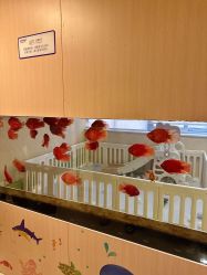 -杭州贝瑞斯美华妇儿医院·早孕·产检·儿科