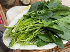 -芦月轩羊蝎子(北蜂窝店)