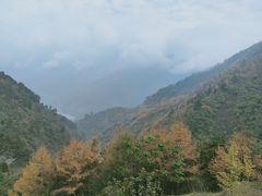 -卧龙自然保护区