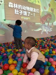 -恐龙探索乐园(磁器口店)