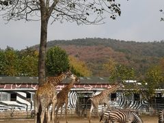 -大连森林动物园