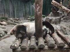 -北京动物园