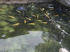 -京北渔家傲