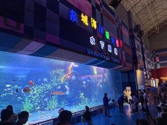 -泉城欧乐堡海洋极地世界