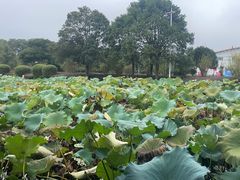 -千龙湖生态旅游度假区