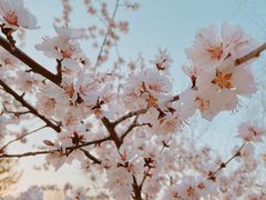 -满都海公园
