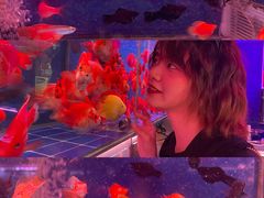 -金砂公园