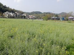 -红山村