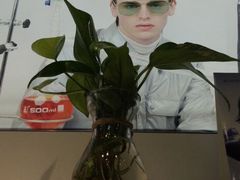 -宝岛眼镜(淮安楚州万达广场店)