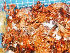 -千百叶海鲜自助餐厅(万达广场店)