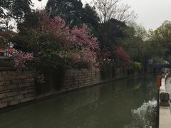 -全季酒店（苏州观前街平江路店）(原临顿路地铁站店)