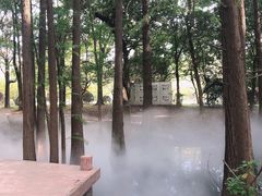 -东湖落雁景区