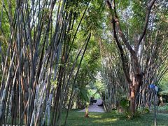 景点-望江楼公园