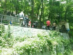 -上海佘山国家森林公园西佘山园