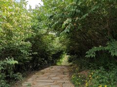 -马家湾湿地公园