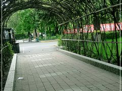-黑龙江中医药大学