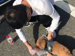 -沐沐家宠物(成寿寺店)