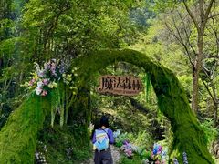 -龙湾潭国家森林公园