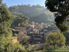 -杨家堂村