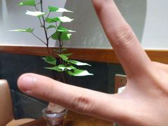 -十二舍·湯物素煮(江泰潤政店)